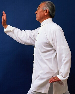 陈式太极拳 陈氏太极拳的训练方法