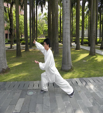 太极步怎么练  练习太极步的技巧