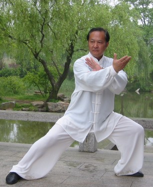 武当太极拳 武当太极拳十三式的招式