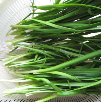 阳痿遗精怎么办 必吃9大壮阳食物