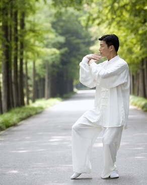 武当太极拳 详解武当太极拳九式