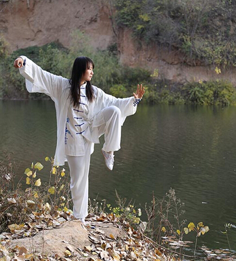 吴式太极拳 太极拳的技击原理