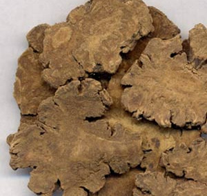 如何补血益气 当归食用方法及适合人群