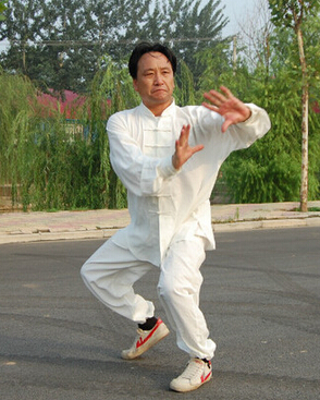 太极拳教学 太极拳的训练方法