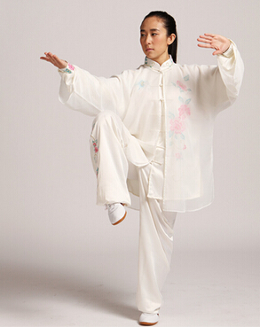 道家养生功 太极拳运动的人生领悟