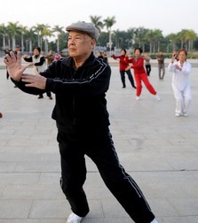 陈式太极拳 陈式太极拳主要招式有哪些