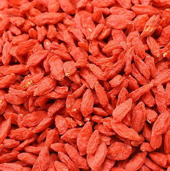 小编推荐 枸杞子吃的好可以壮阳