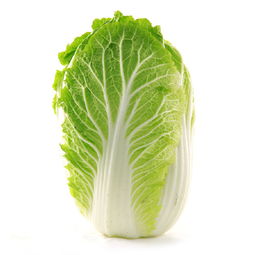 大白菜具有哪些营养价值