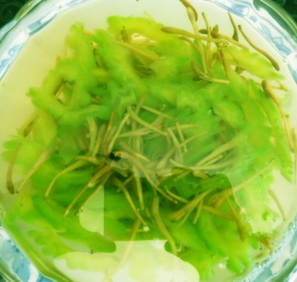 男性疾病的治疗 前列腺炎食疗治疗