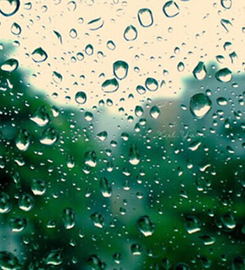 下雨天睡觉特别香 为什么喜欢下雨天睡觉