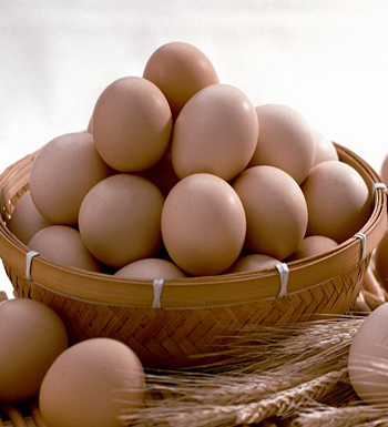 吃鸡蛋需要注意什么  吃鸡蛋需要注意什么