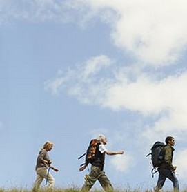 秋季养生 秋季是爬山养生好时节