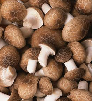 产后吃什么好 专家建议 产后要多吃蘑菇