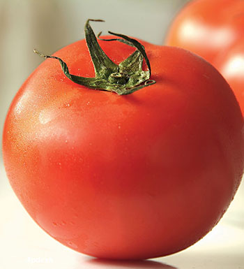 男性保健养生 职场男性如何健康养生