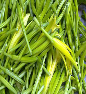 千万不能生吃的食物  生豆浆千万不能喝