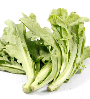 夏季感冒咳嗽怎么办  夏季止咳化痰的食物