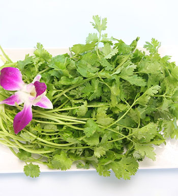 榴莲可治痛经 5种异味食物其实是至宝