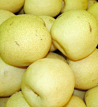 梨子的功效与作用 吃梨可保视力补津液