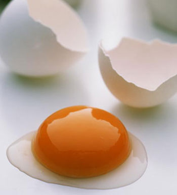 吃蛋黄好还是蛋清好 蛋清和蛋黄哪个更有营养