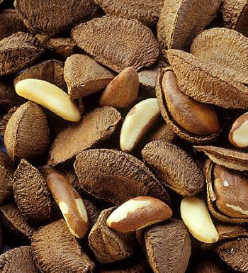 夏季养生小常识 夏季掉发严重怎么办