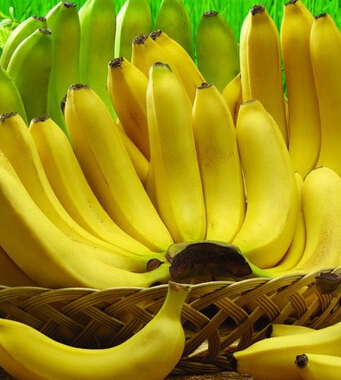 香蕉的功效与作用 香蕉对身体的几大奇效