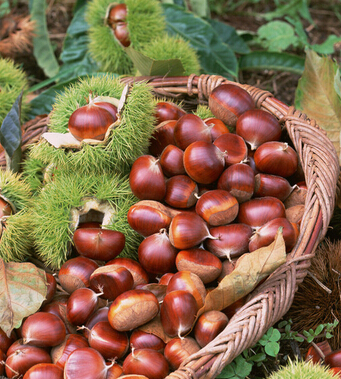 去皱纹最好的方法 9方法帮你轻松应对