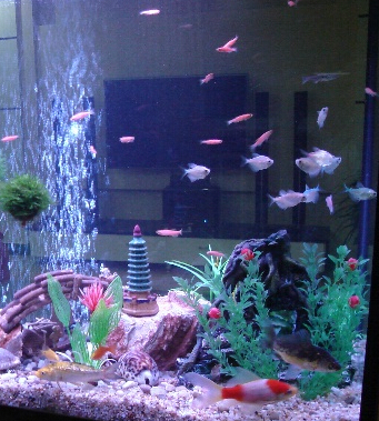 办公室 闷热办公室里保健法