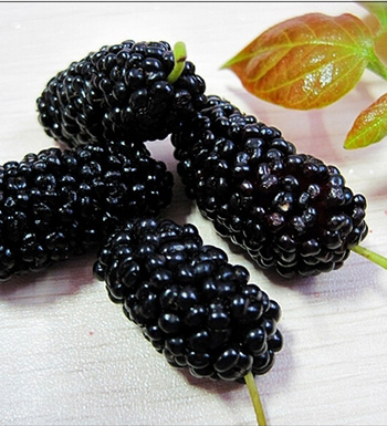 长痘痘不能吃什么 杜绝这些食物远离痘痘