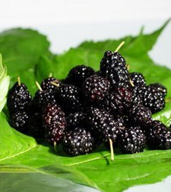 猕猴桃的功效 多吃一种水果多收一份健康