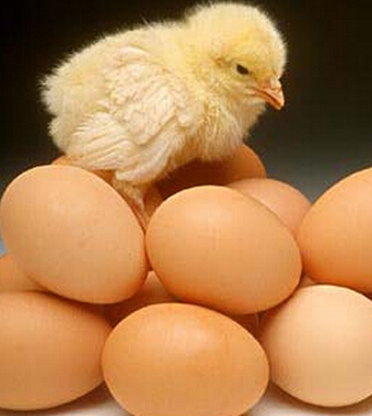 饮食误区 10大被误传的养生禁忌