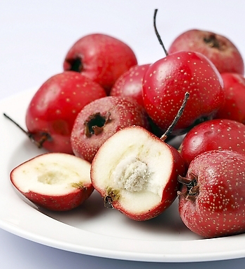 饮食禁忌 肠胃不好的人不适宜吃的水果