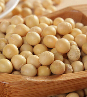 肾虚的症状有哪些 女人肾虚六大症状剖析