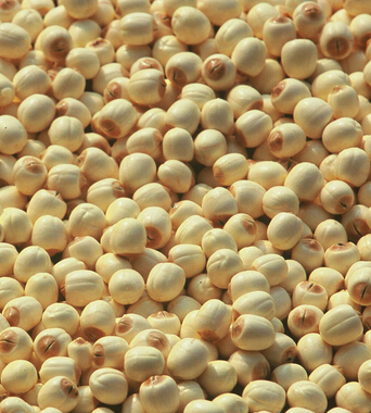 上火吃什么好  上火 的对症食疗法