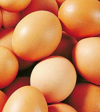 食欲不振 如何应付孩子夏季食欲不振