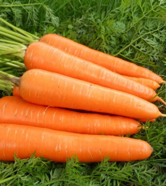 吃什么抗衰老 能够隐藏岁月痕迹的水果