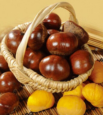 肾虚怎么办 男人肾虚到底该怎么补