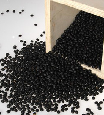 夏季养生小常识 夏季掉发严重怎么办