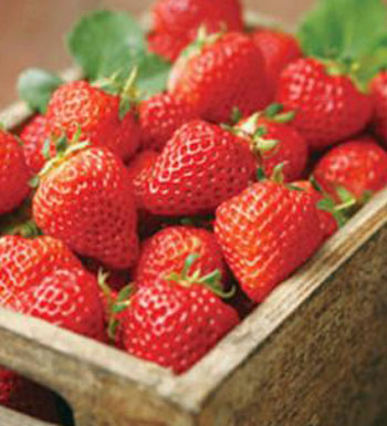 夏天吃什么水果防晒 夏季防晒吃什么好