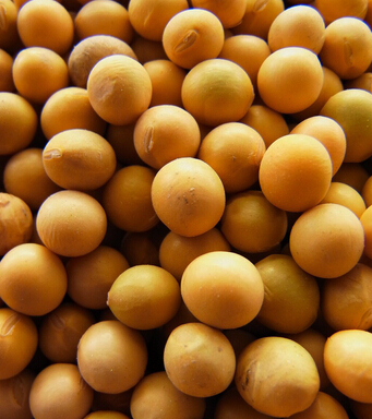 天天饮食 揭男人绝不能吃的5种食物