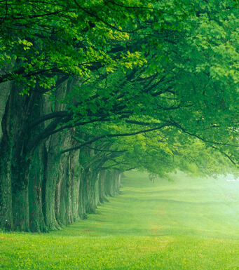 排毒养颜 10招心灵排毒让你摆脱焦虑症