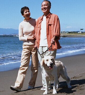 性生活的好处 老年人保持性生活能预防疾病