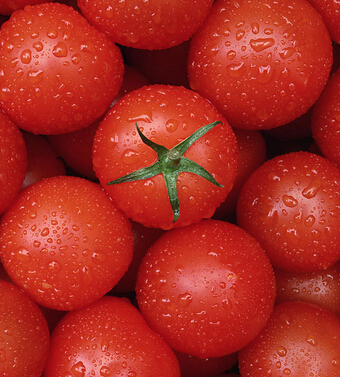 吃西红柿的好处 西红柿治病的十大功效