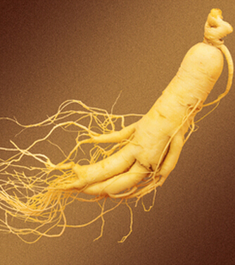 肾虚怎么办 10大方法让你摆脱烦恼