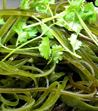 健康饮食 女人吃什么让你不变老