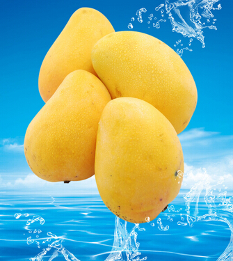 芒果吃多了会怎么样 芒果的功效与作用