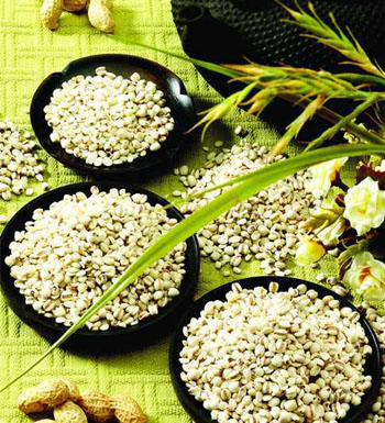薏米的作用与功效及食用方法 薏米的营养价值