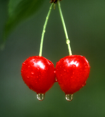 清肠排毒方法 养颜排毒又瘦身的7大清肠水果