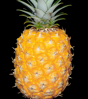 女人抗衰老吃什么 10种水果让女人年轻10岁