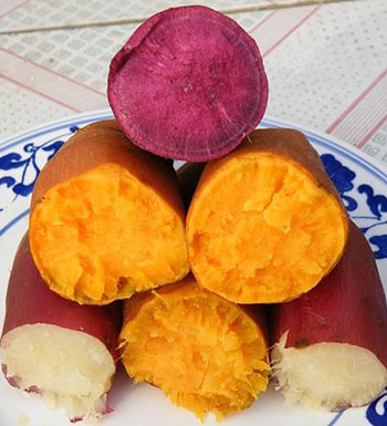 红薯吃多了会怎么样 食用红薯的注意事项