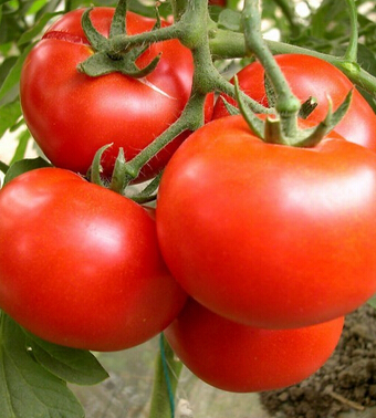 狐臭怎么治 民间偏方让你快速摆脱狐臭烦恼